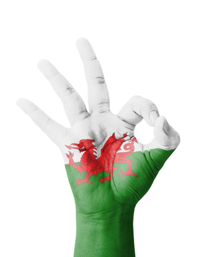 llaw gyda baner cymru arni